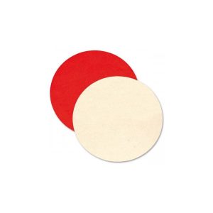 Disc pasla fixare cu scai 125x5mm TARE- IM